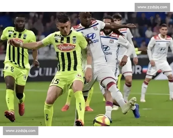 霍芬海姆主场迎战里昂 双方拼搏激烈赛况引关注